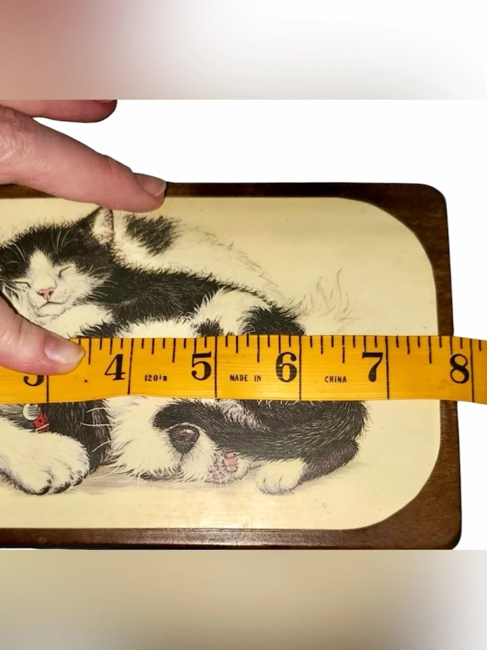 Vintage Handmade Wooden 2- Compartment Trinket/Jewelry Box  w/ Cuddly Fur-Babies